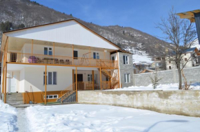 Guesthouse Qarim